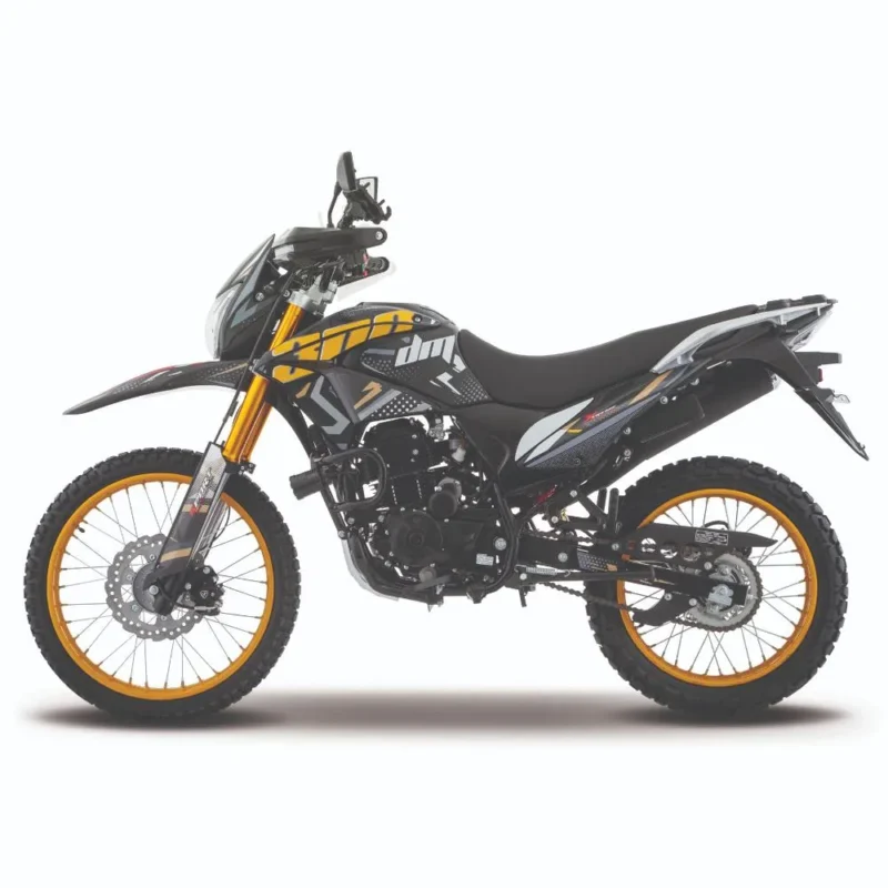 DM300 - Image 2